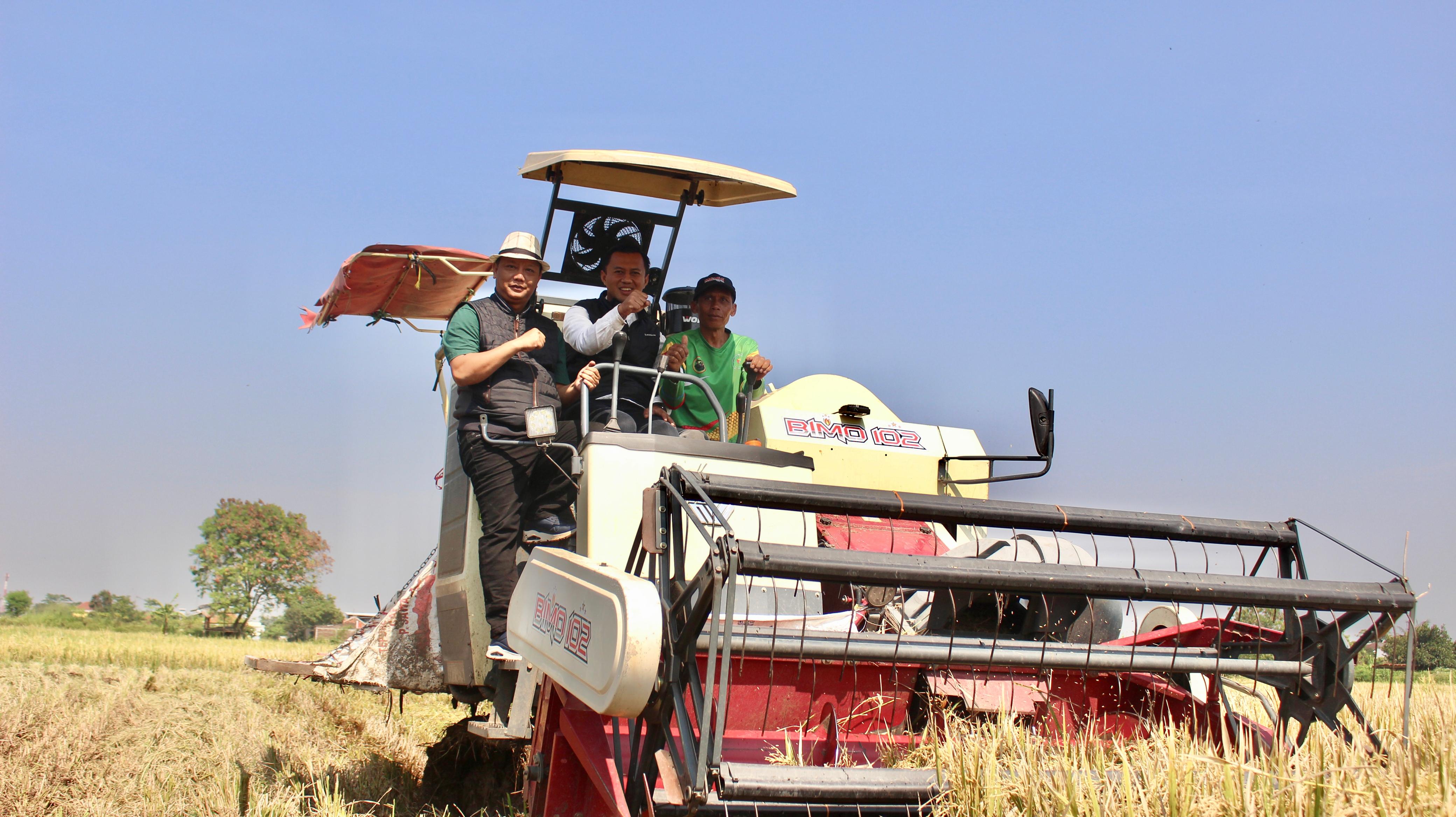 camat-bojongsoang-hadiri-panen-perdana-padi-demplot-bumdes-desa-tegalluar